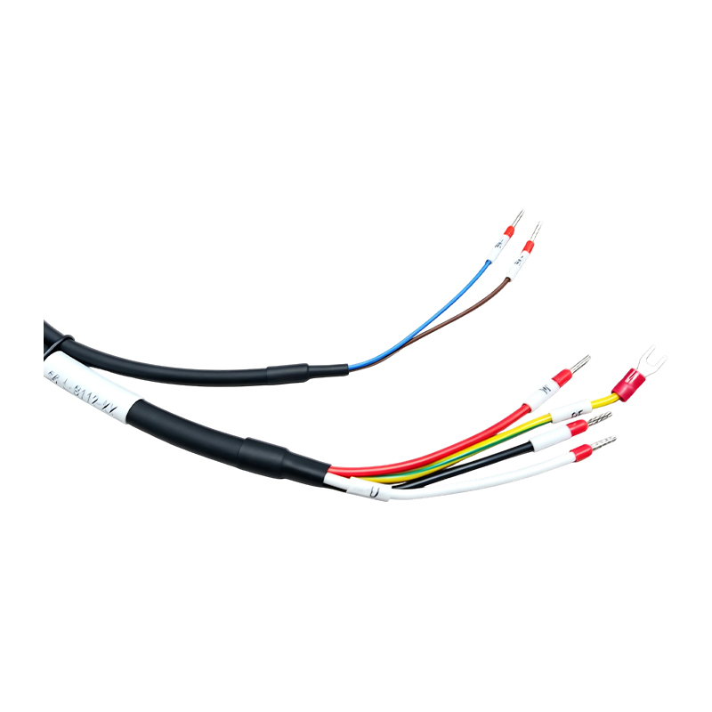 S6-L-B112-3.0 มอเตอร์กำลังสูงและสายเบรกคอมโบ